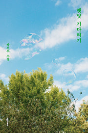 햇빛 기다리기
