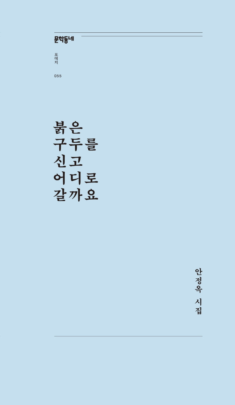 붉은 구두를 신고 어디로 갈까요(문학동네포에지 55)