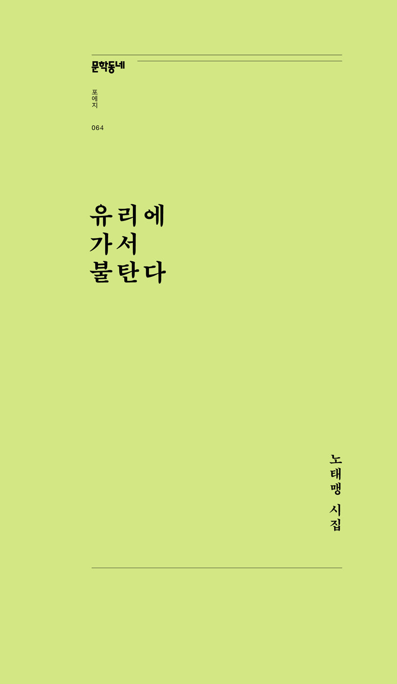 유리에 가서 불탄다(문학동네포에지 64)