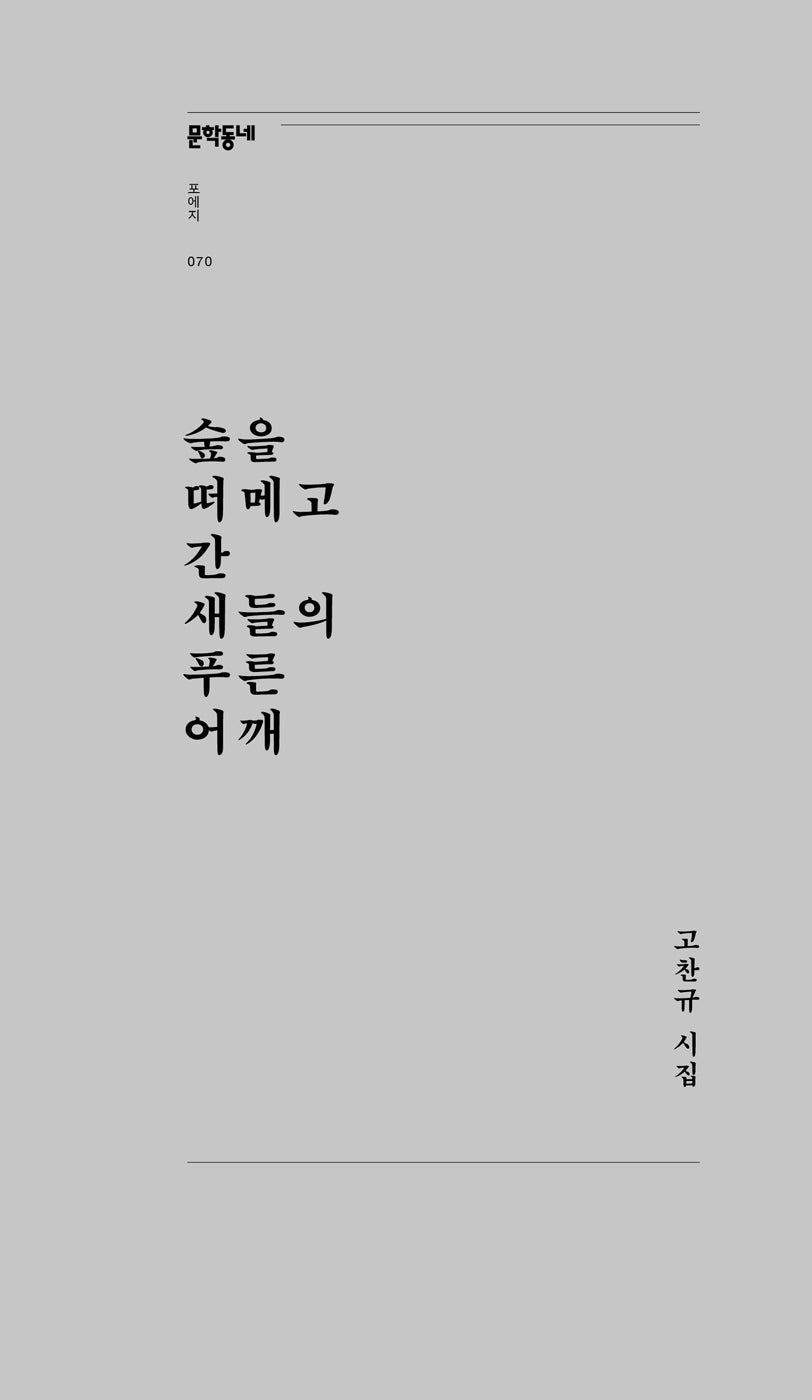 숲을 떠메고 간 새들의 푸른 어깨(문학동네포에지 70)