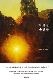 작별들 순간들(배수아 컬렉션)
