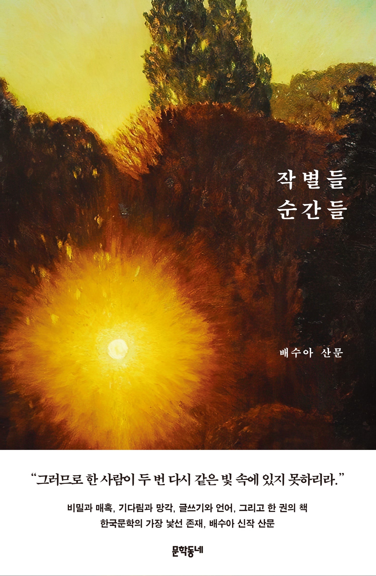 작별들 순간들(배수아 컬렉션)