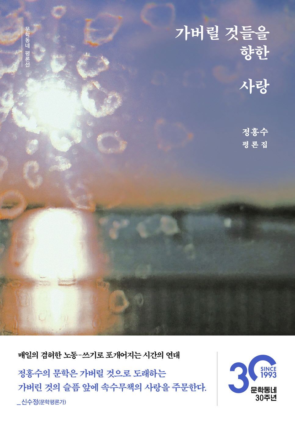 가버릴 것들을 향한 사랑(문학동네 평론선)