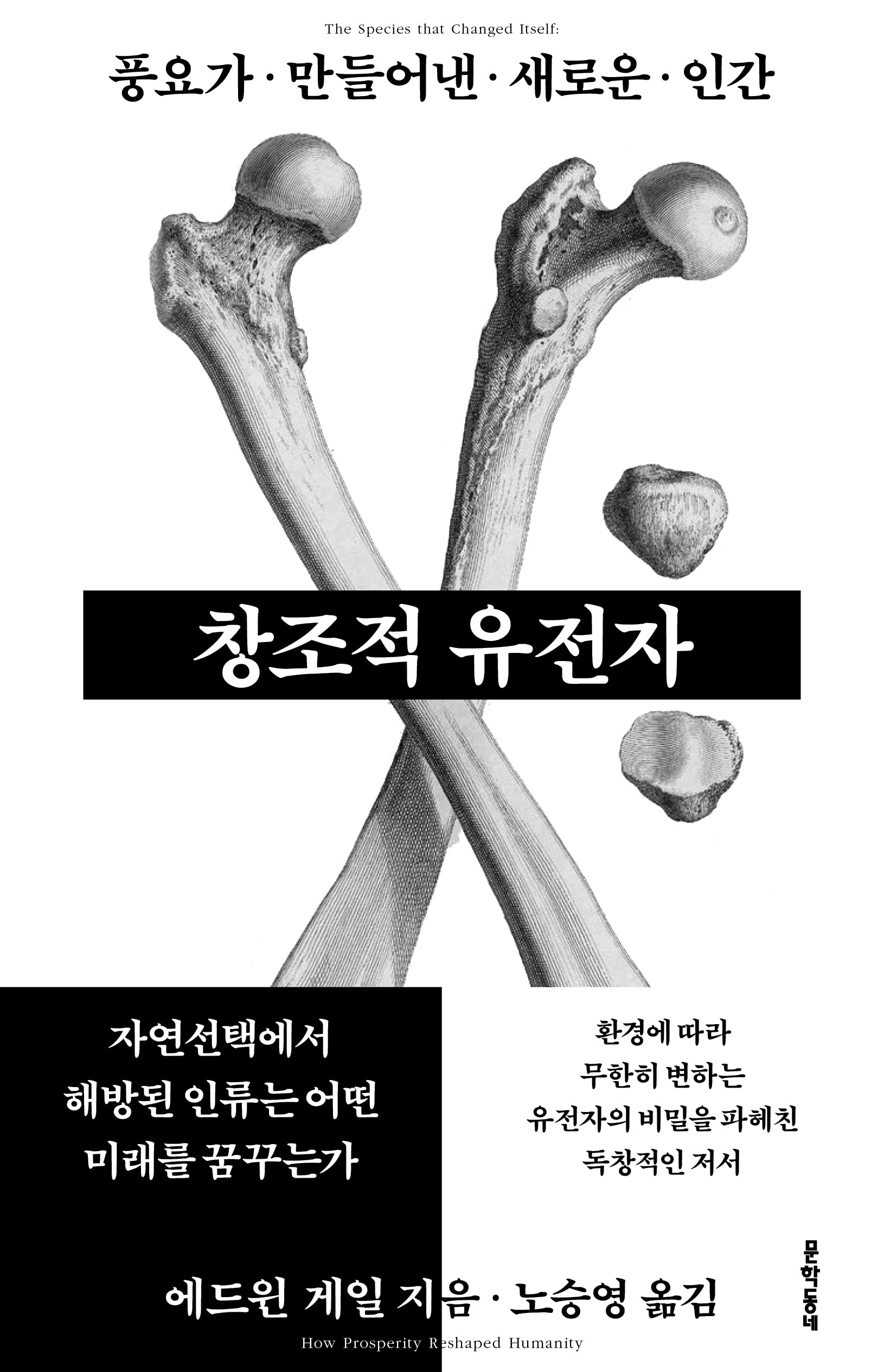 창조적 유전자