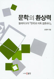 문학의 환상력