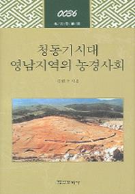 청동기시대 영남지역의 농경사회(고고학총서 36)