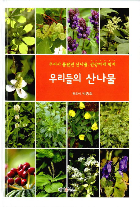 우리들의 산나물(양장본 Hardcover)