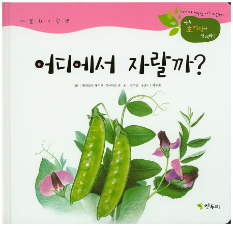 어디에서 자랄까?(연두 호기심아 열려라! 48)(양장본 HardCover)