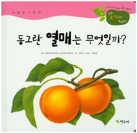 동그란 열매는 무엇일까?(연두 호기심아 열려라! 49)(양장본 HardCover)