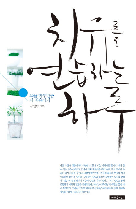 치유를 연습하는 하루