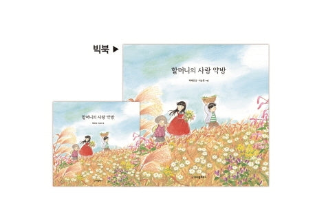 할머니의 사랑 약방(빅북)