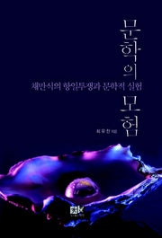 문학의 모험(양장본 HardCover)
