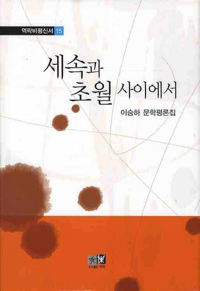세속과 초월사이에서(역락비평신서 15)(양장본 HardCover)
