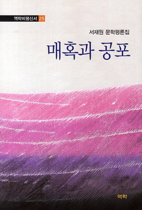 매혹과 공포(역락비평신서 25)(양장본 HardCover)