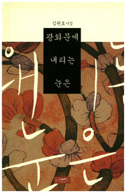 광화문에 내리는 눈은(양장본 HardCover)