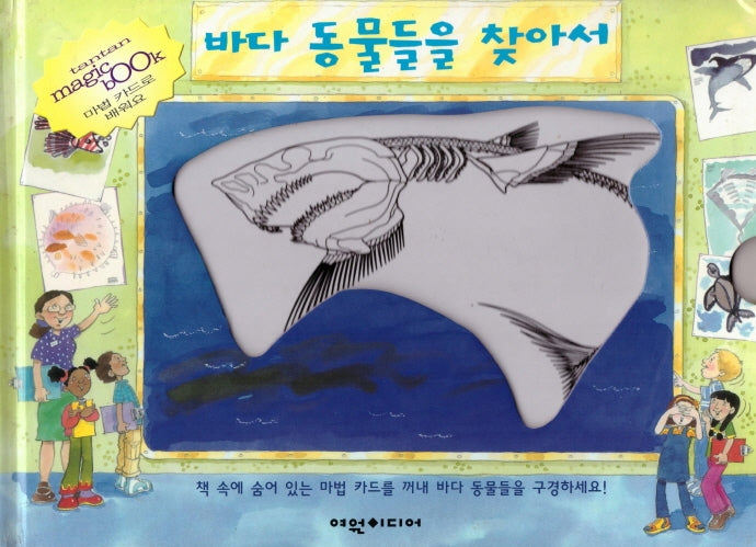 바다 동물들을 찾아서(탄탄 매직북)(양장본 HardCover)