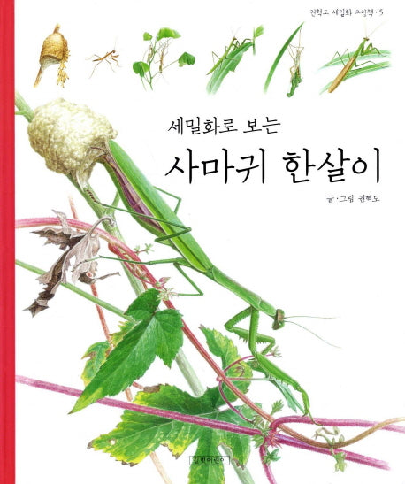 세밀화로 보는 사마귀 한살이(권혁도 새밀화 그림책 5)(양장본 HardCover)