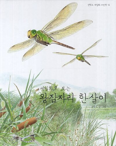왕잠자리 한살이(세밀화로 보는)(권혁도 세밀화 그림책 6)(양장본 Hardcover)