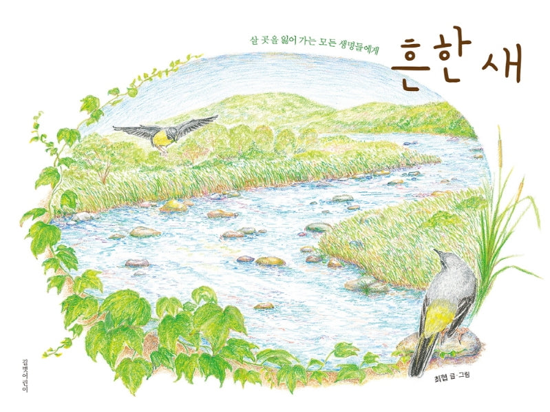 흔한 새(두고두고 보고 싶은 그림책 114)(양장본 Hardcover)