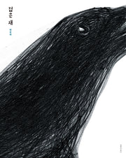 검은 새(인생그림책 23)(양장본 Hardcover)