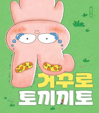 거꾸로 토끼끼토(보람 그림책)(양장본 Hardcover)