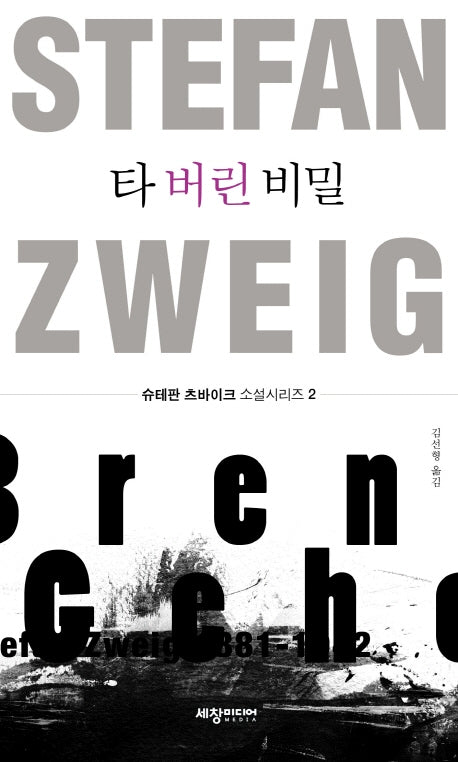 타 버린 비밀(슈테판 츠바이크 소설 시리즈 2)
