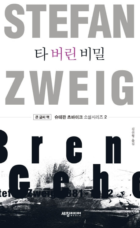 타 버린 비밀(큰글씨책)(슈테판 츠바이크 소설 시리즈 2)
