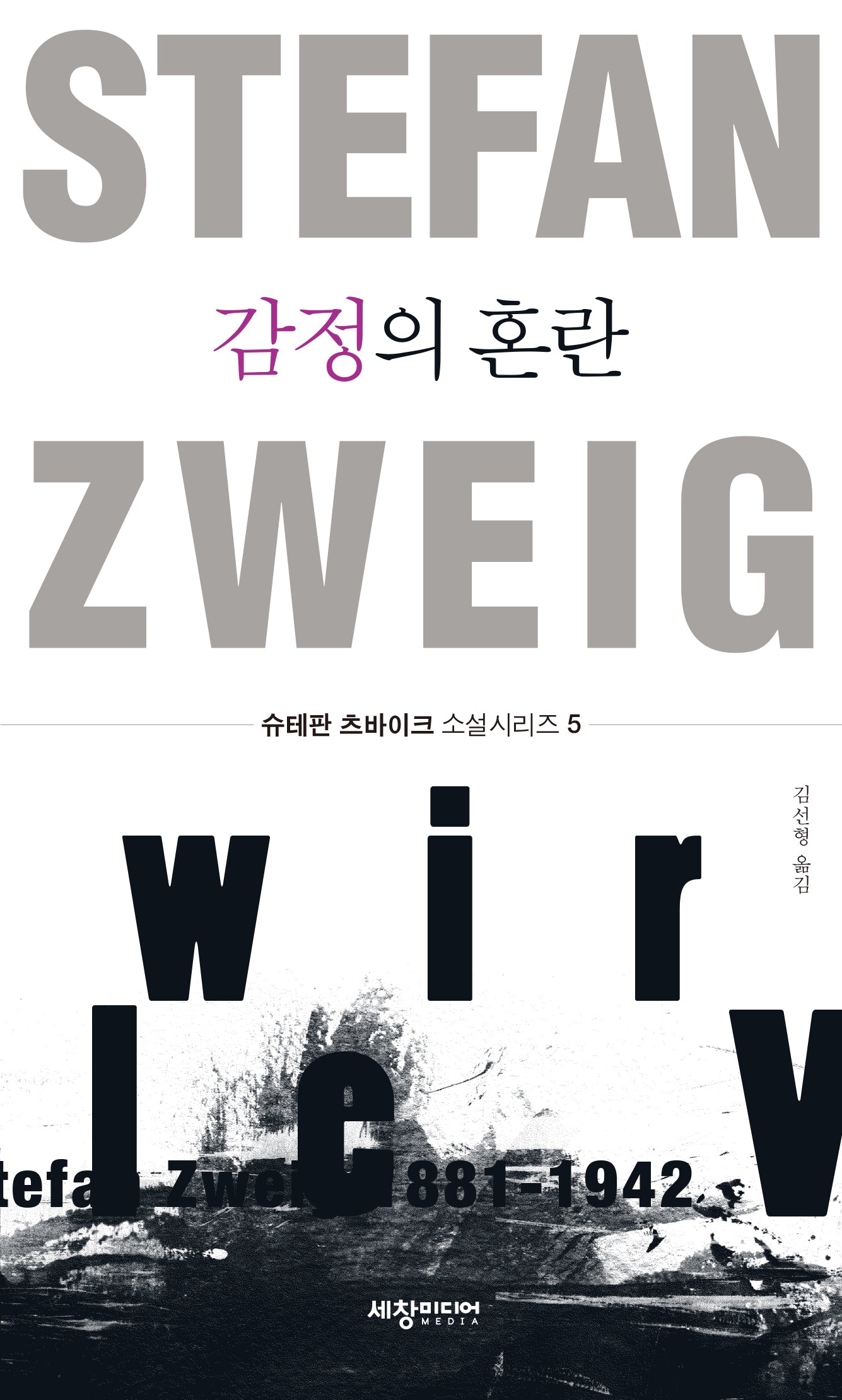 감정의 혼란(슈테판 츠바이크 소설시리즈 5)