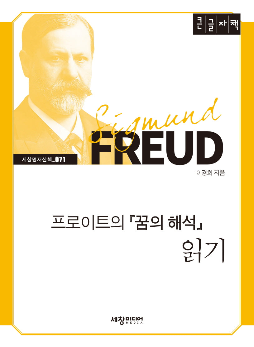 프로이트의 꿈의 해석 읽기(큰글자책)