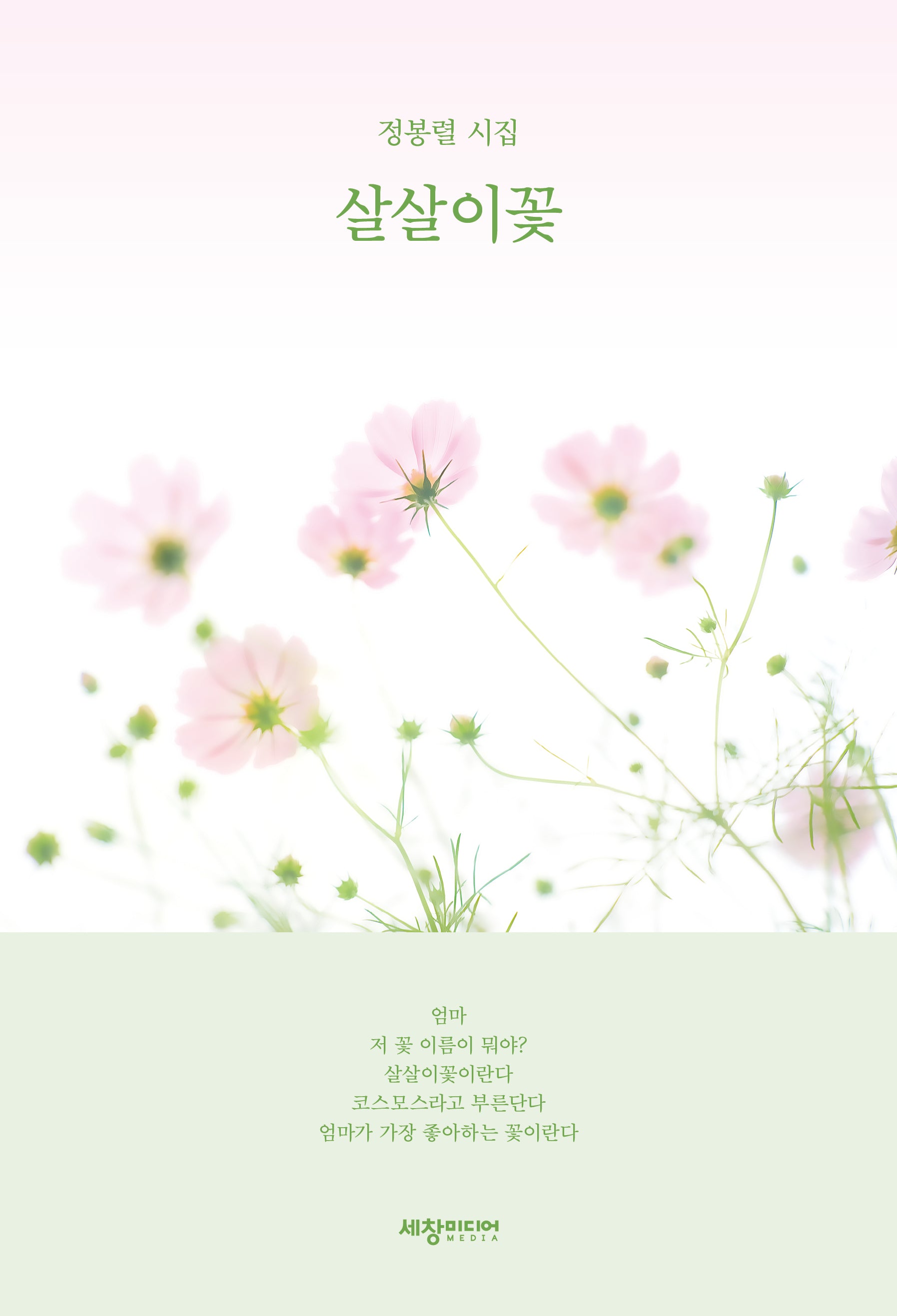살살이꽃