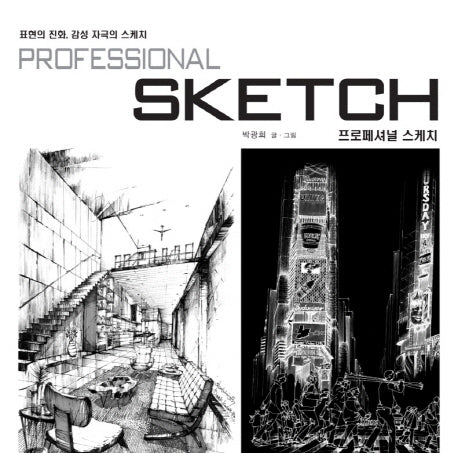 프로페셔널 스케치(표현의 진화, 감성 자극의 스케치)