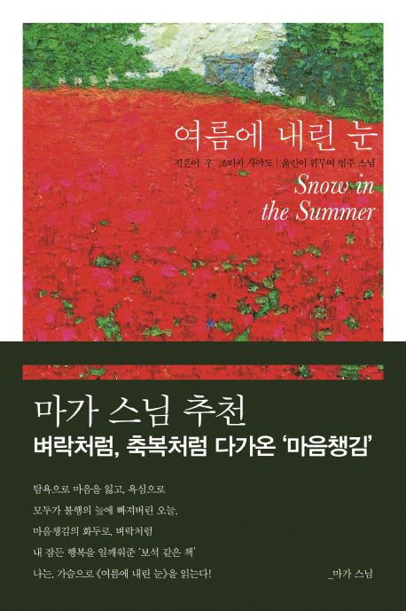 여름에 내린 눈(개정판)
