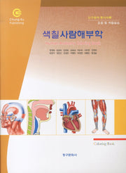사람해부학(색칠)(개정판)