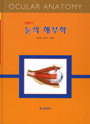 눈의 해부학(반양장)