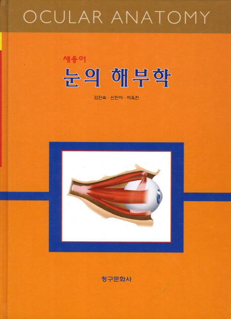 눈의 해부학(반양장)
