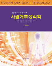 사람해부생리학(7판)