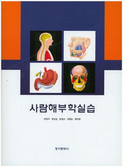 사람해부학실습