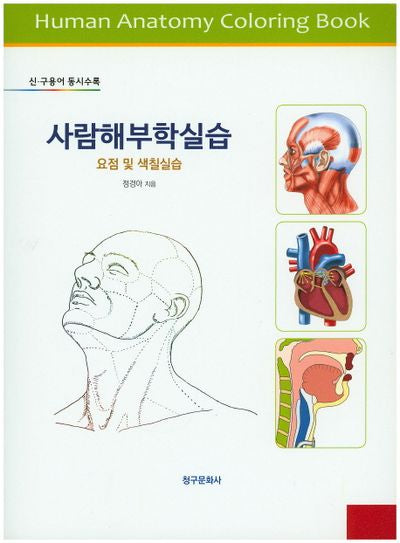사람해부학실습