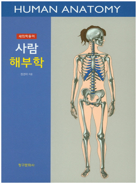 사람해부학(새의학용어)