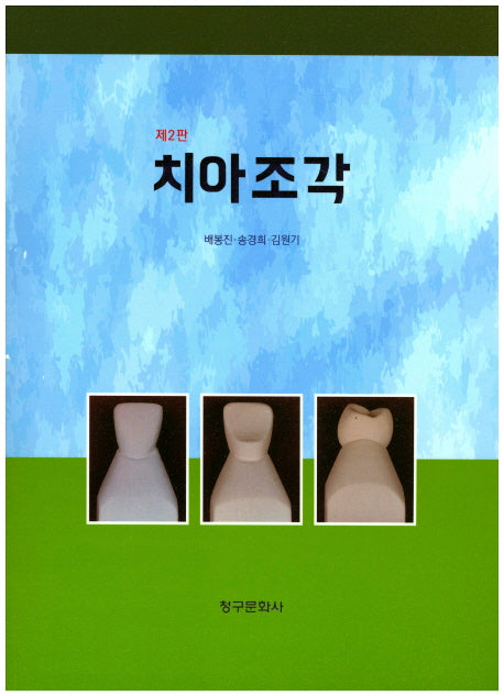 치아조각(2판)