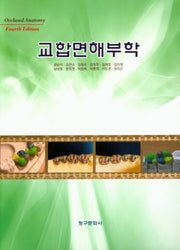 교합면해부학(4판)