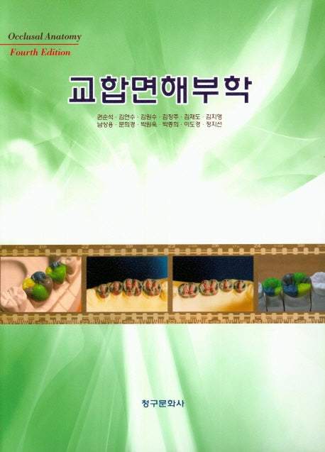 교합면해부학(4판)