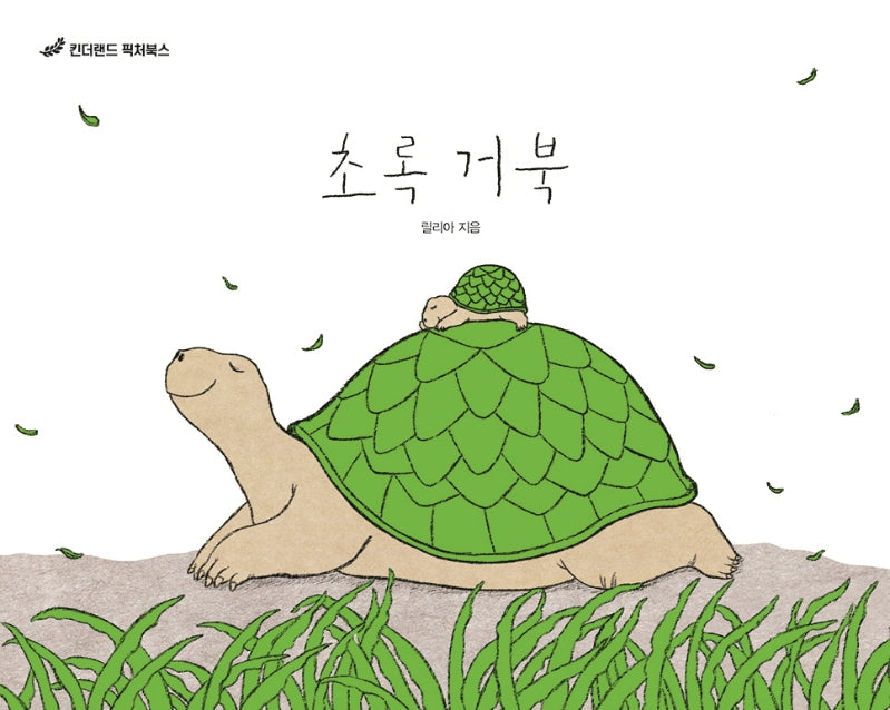 초록 거북(킨더랜드 픽처북스)(양장본 Hardcover)