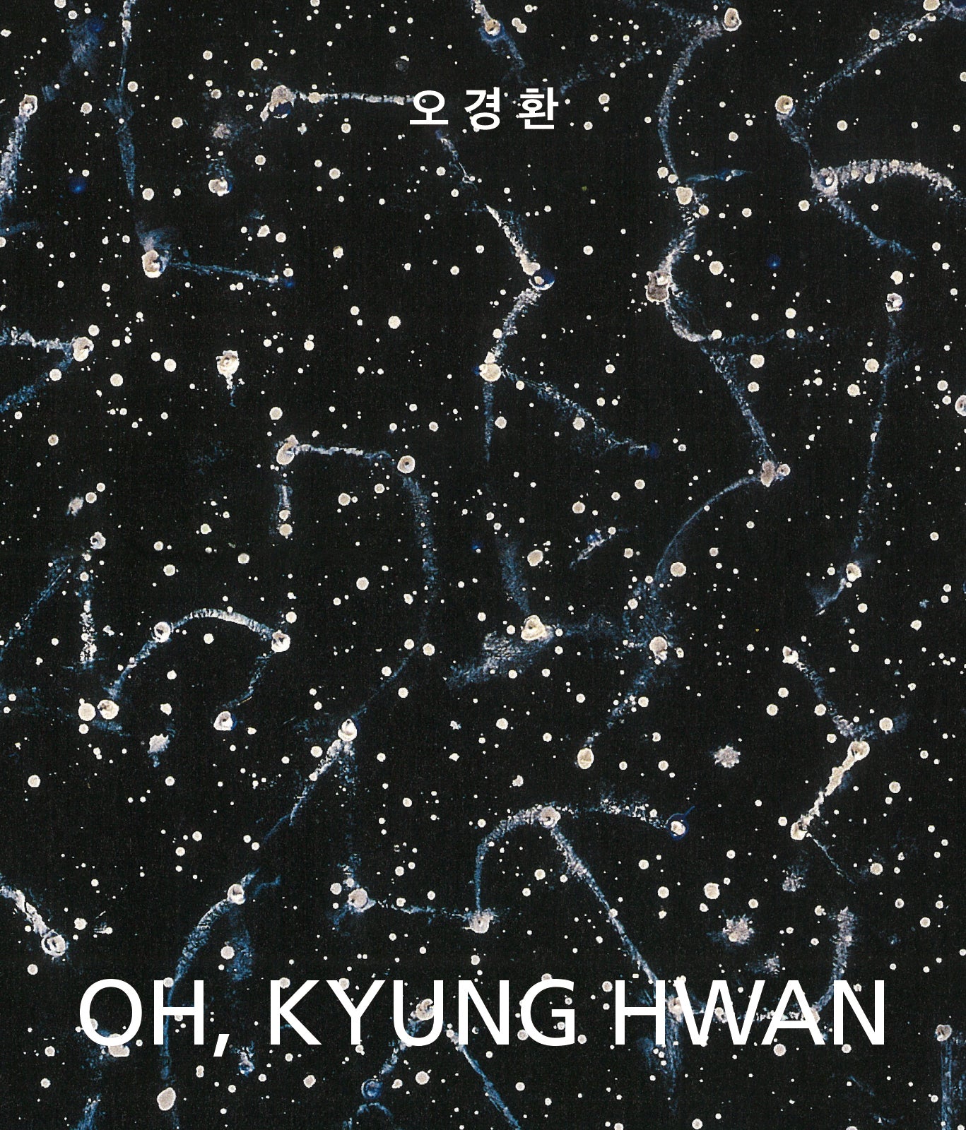 오경환 OH, KYUNG HWAN