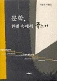문학 환멸 속에서 글쓰기
