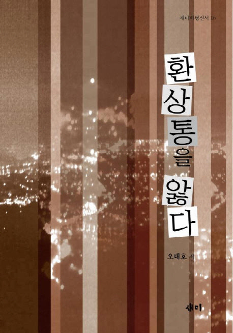 환상통을 앓다(새미비평신서 16)