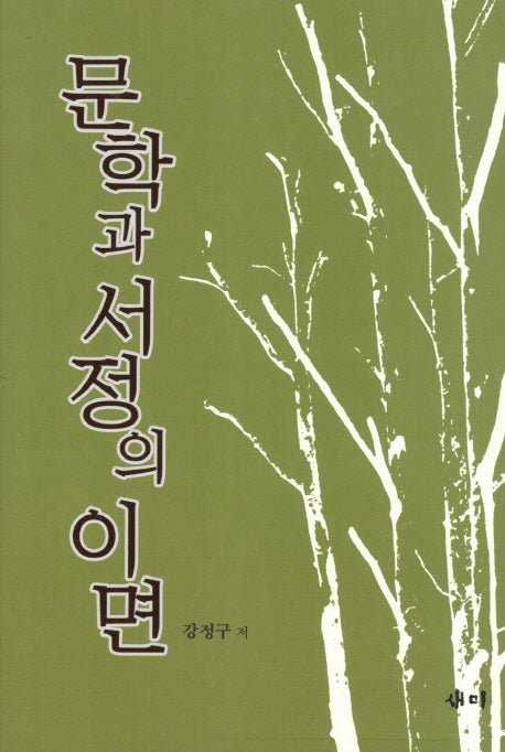 문학과 서정의 이면