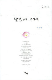 달빛의 무게(채수영 시선 4)