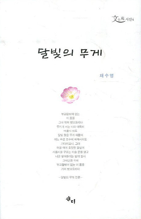 달빛의 무게(채수영 시선 4)