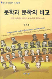 문학과 문학의 비교(양장본 HardCover)